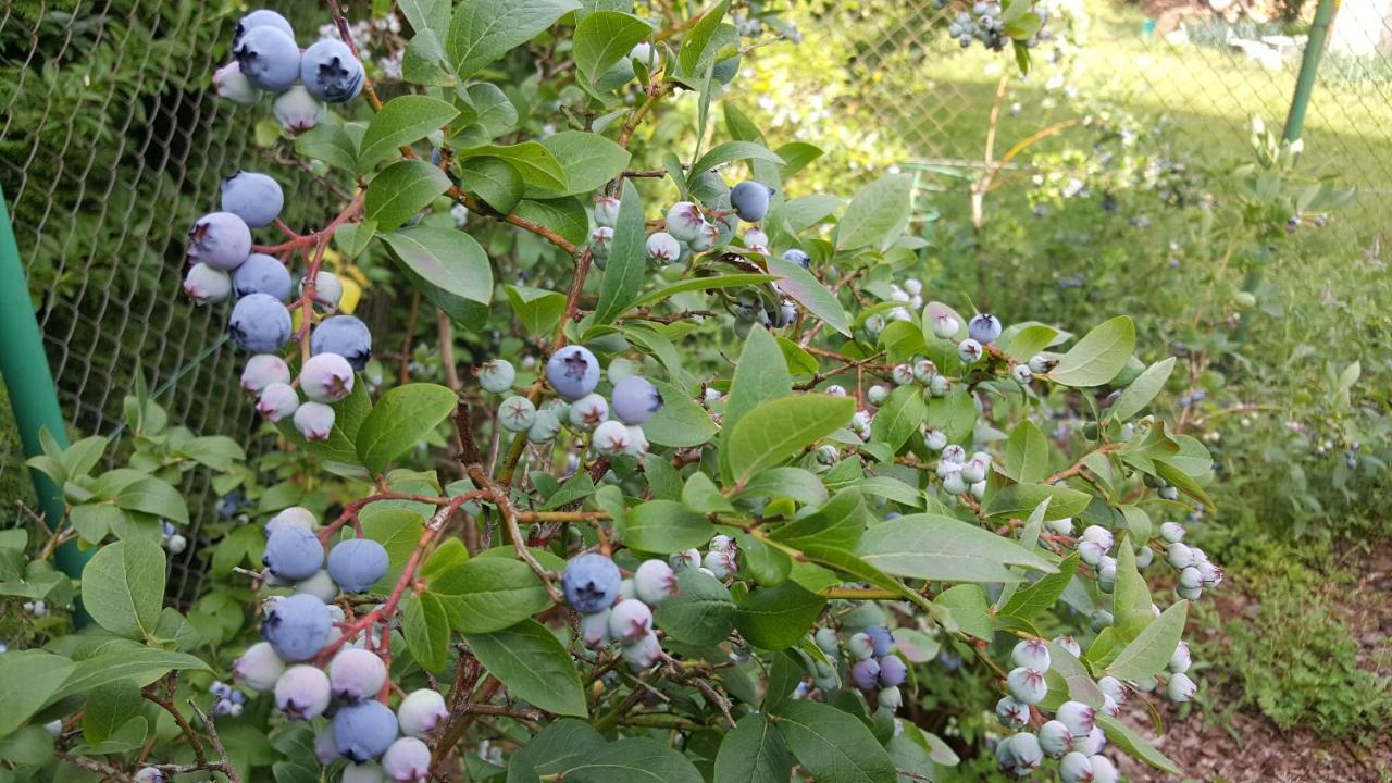 Domek Nad Jeziorem Bystrzyna Świdwin 外观 照片